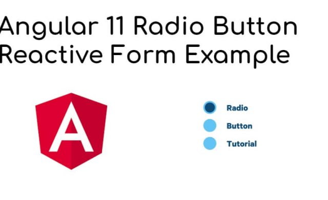 Angular Get Selected Radio Button Value