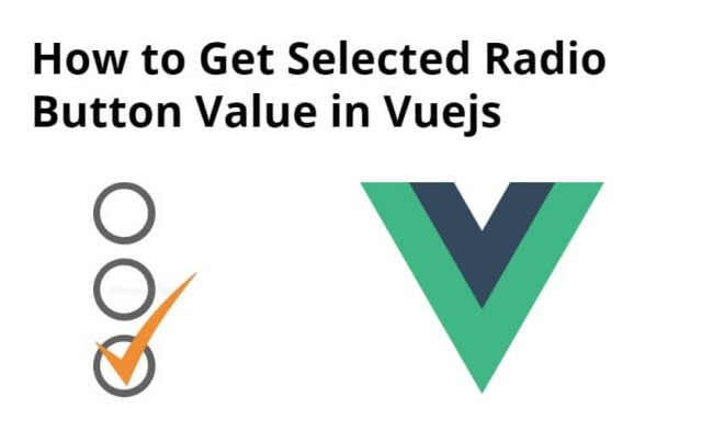 Vue JS Radio Button OnChange Event Example