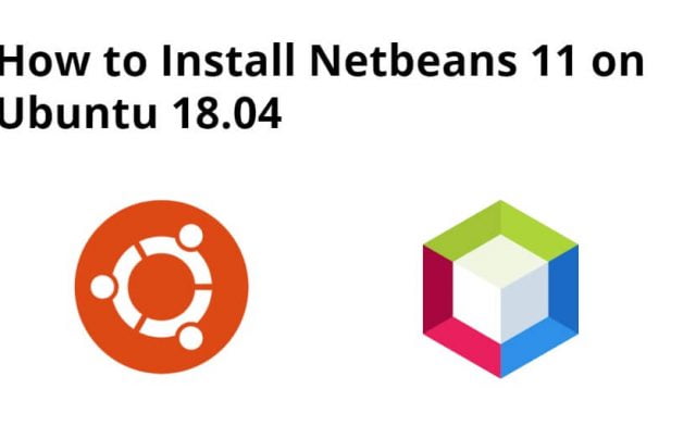 Install Netbeans 11 on Ubuntu 18.04|20.04|22.04
