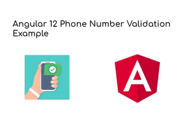 Angular 12 Phone Number Validation Example