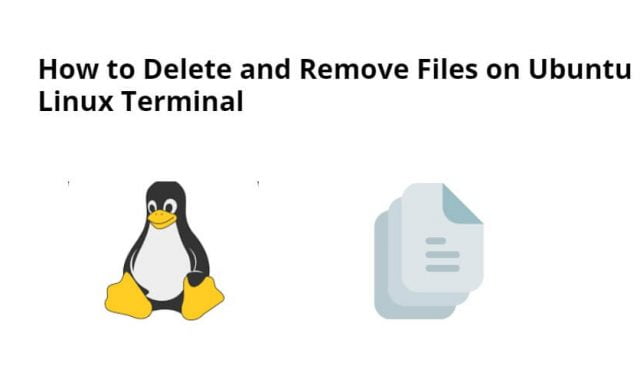 How to Delete and Remove Files on Ubuntu Linux Terminal