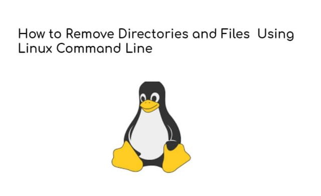 Linux Delete All Directory Using Command Line