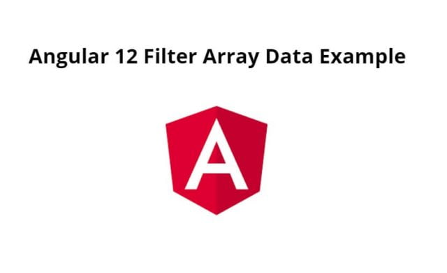 Angular 12 Filter Array Data Example