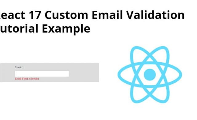 React JS Custom Email Validation Example