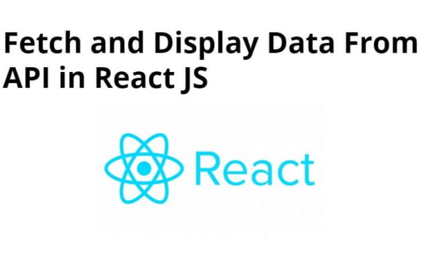 Fetch and Display Data From API in React JS