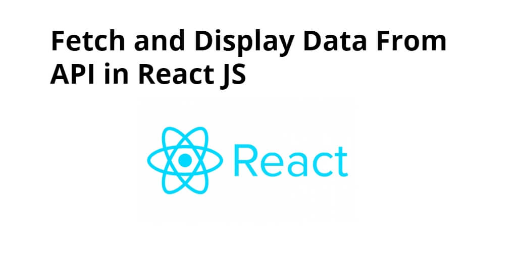 Fetch and Display Data From API in React JS