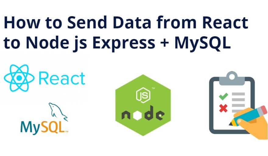 How to Send Data from React to Node js Express + MySQL
