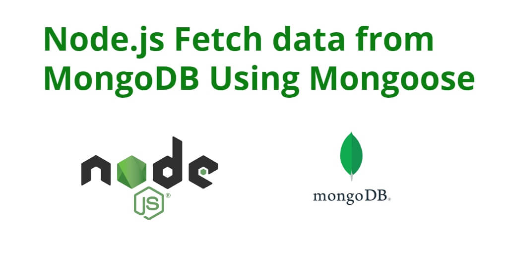 Node.js Fetch data from MongoDB Using Mongoose