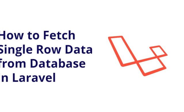 Fetch Single Row Data from Database in Laravel