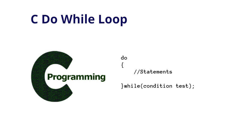 C Do While Loop Example