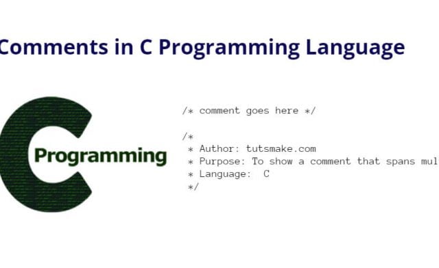 Comments in C Programming Language
