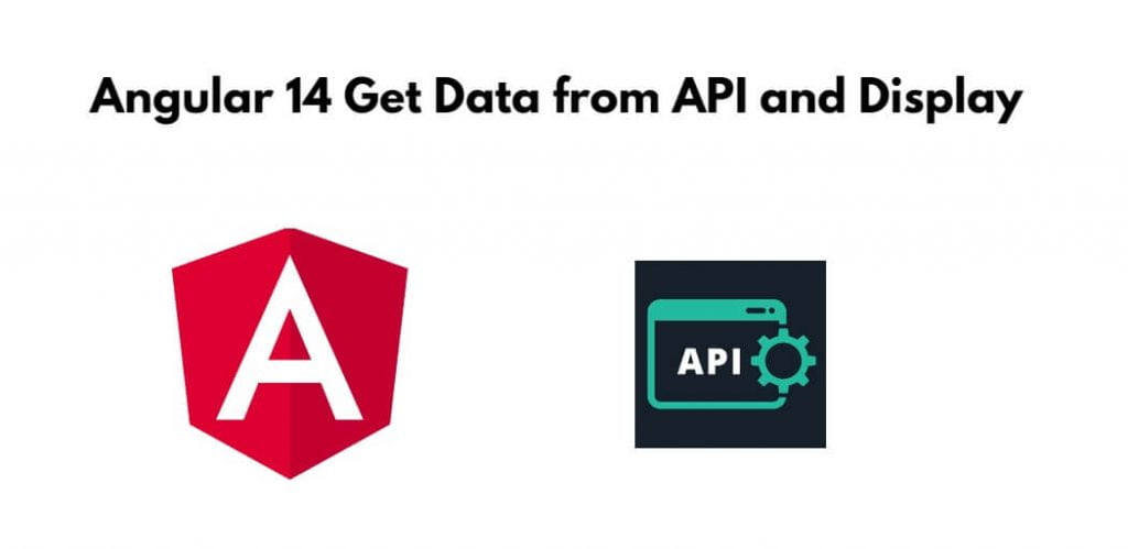 Angular 14 Fetch/Get Data from API and Display in Table