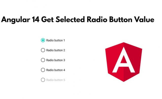 Angular 14 Get Selected Radio Button Value