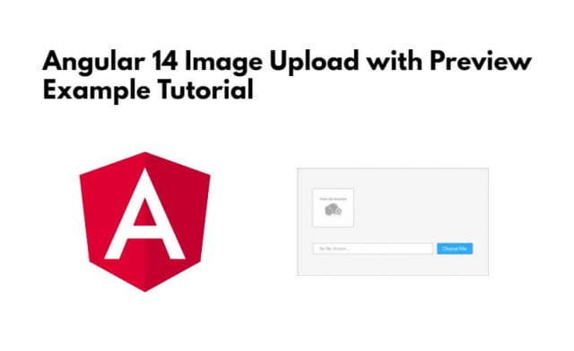 Angular 14 Image Upload with Preview Example