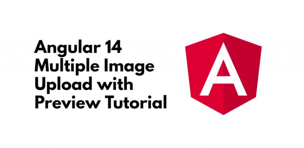 Angular 14 Multiple Image Upload with Preview Example