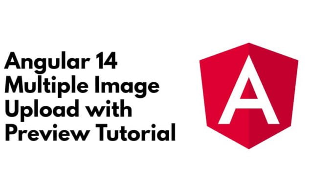 Angular 14 Multiple Image Upload with Preview Tutorial