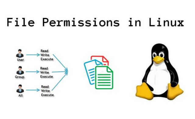 File Permissions Command in Linux