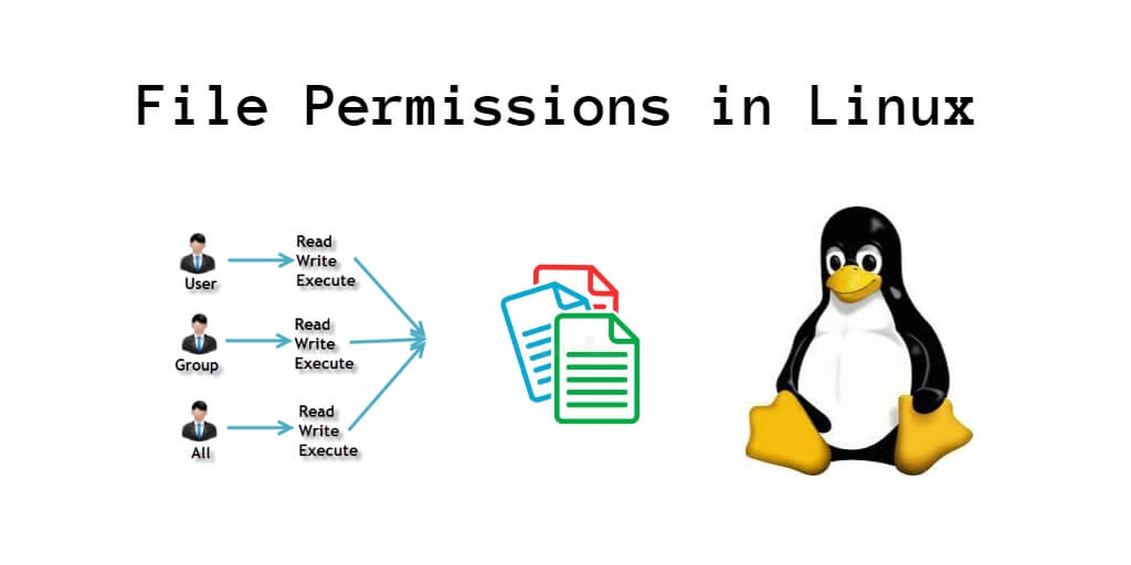 File Permissions Command in Linux