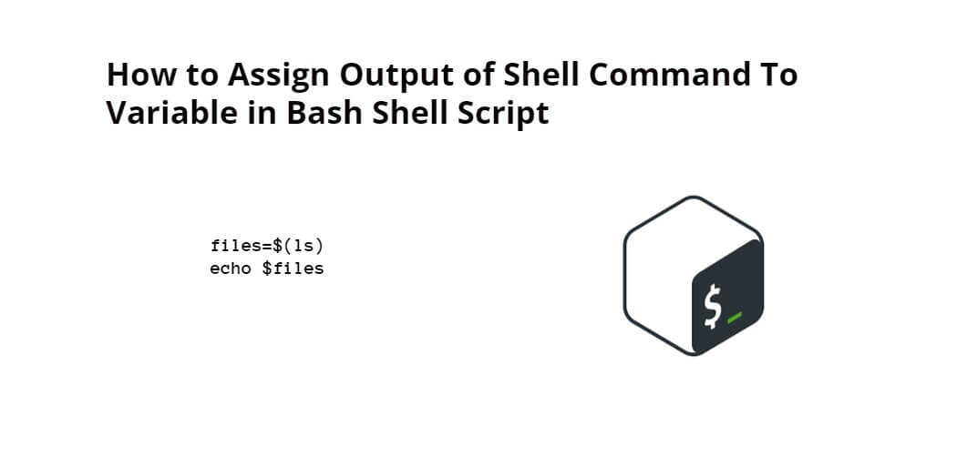 shell variable assignment command