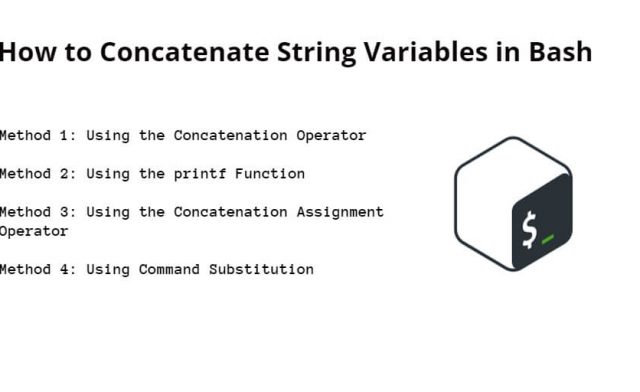 How to Concatenate String Variables in Bash