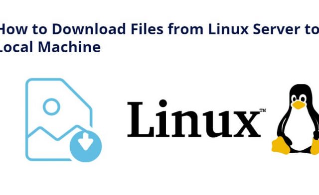 How to Download Files from Linux Server to Local Machine
