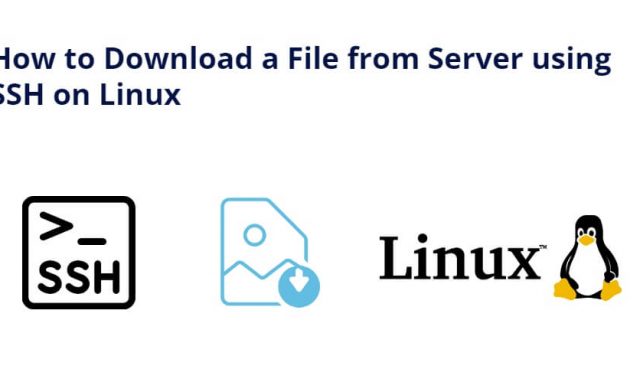 How to Download a File from Server using SSH on Linux