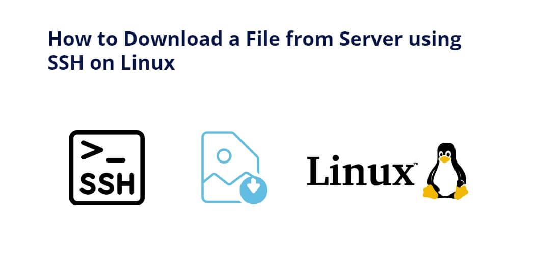 how to download file from remote server to local machine linux