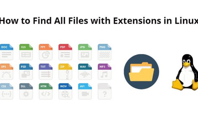 Find All Files with Extensions in Linux