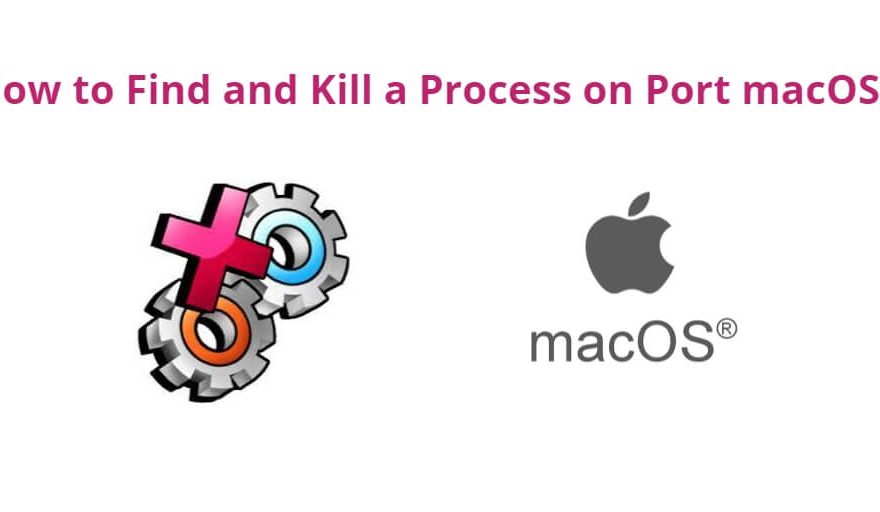 Find and Kill Process on Port macOS