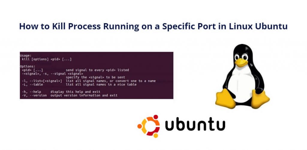 Kill Process on Specific Port Ubuntu Linux