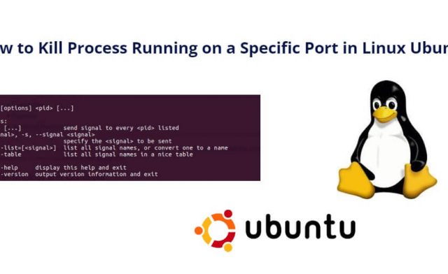 How to Kill Process on Specific Port Ubuntu Linux