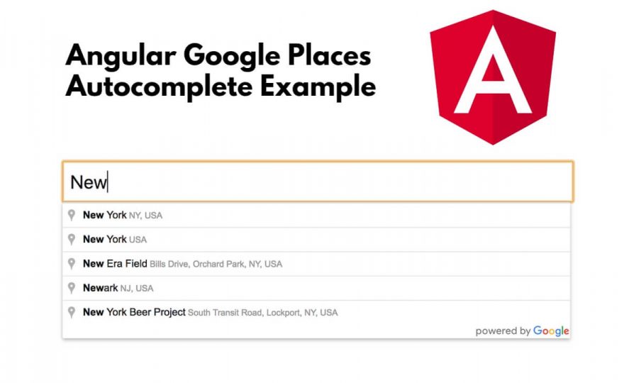 Angular 17/16 Google Places Autocomplete Example Tutorial
