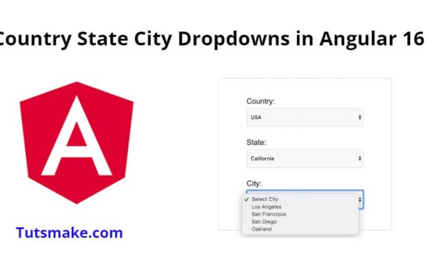 Angular 16 Country State City Dropdowns Tutorial