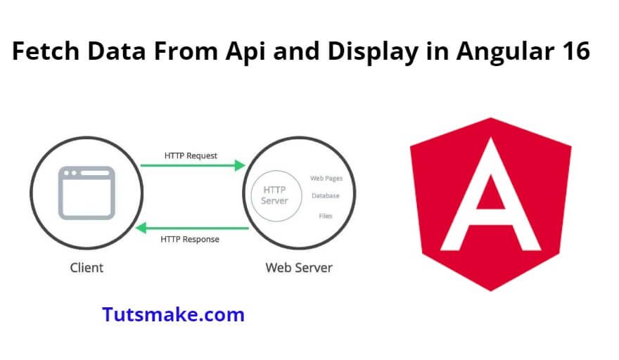 Fetch Data From Api and Display in Angular 16