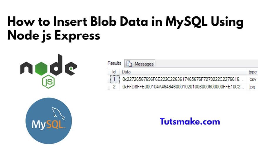 How to Insert Blob Data in MySQL Using Node js Express