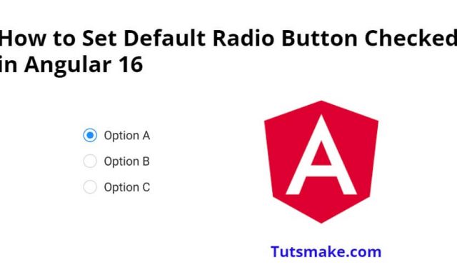 Set Default Radio Button Checked in Angular 17/16