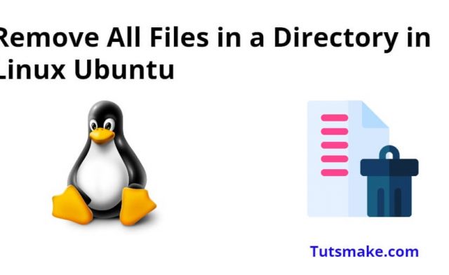 Remove All Files in Directory in Linux Ubuntu