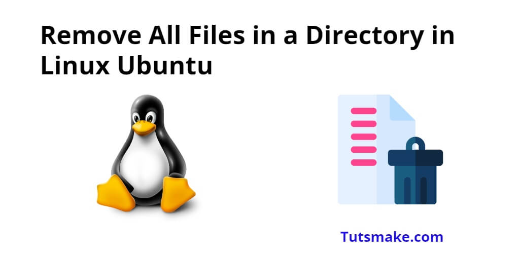 Delete All Files in the Directory in Linux Ubuntu Command Line