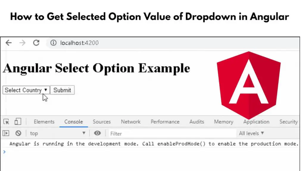 Angular 17, 16 Get Selected Value of Dropdown Tutorial
