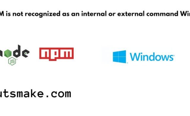NPM is not recognized as an internal or external command Windows 11