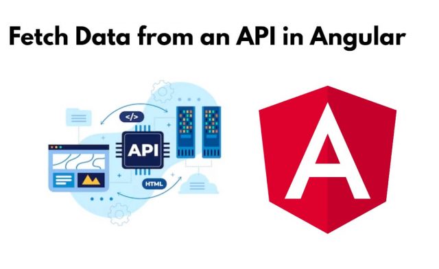 Fetch Data from an API in Angular 17