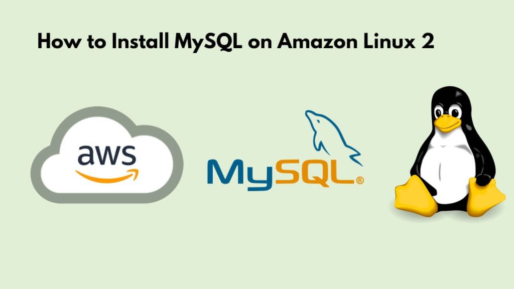 How to Install MySQL on Amazon Linux 2 Tuts Make