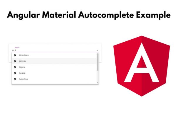 Angular 17 Material Autocomplete Example