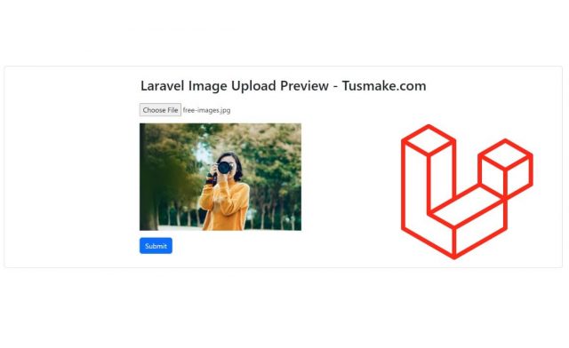 Laravel 11 Preview Image Before Upload Example